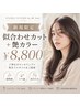【新規限定】似合わせカット＋透明感カラー ￥8,800