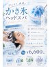カット+かき氷ヘッドスパ(クールアプレゼント)¥13530