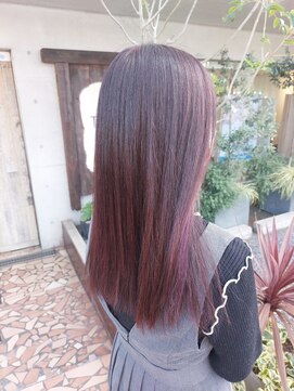 タエビスアリッサム(Taebis Alyssum) グラデーションカラー(イルミナカラー、北習志野)