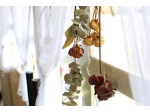 【Q&A】どのクーポンで予約したいいかわかりません、、、来店後にメニューを相談できますか？