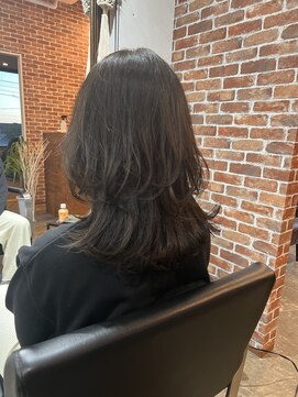 ヴィップルーム(viproom) セクションカラー/グラデーションカラー/ダブルカラー