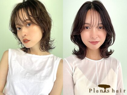 プランツヘアーの写真