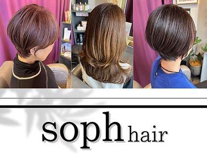ソフ(soph)の写真