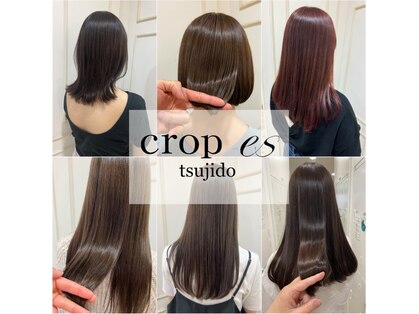 クロップ エス 湘南辻堂(crop es)の写真