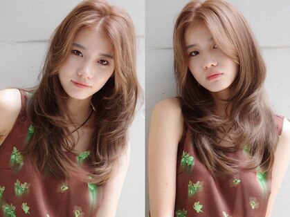 コノカ 北浜(KONOKA)の写真