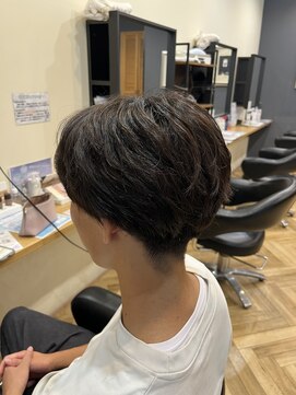 アルター(aL ter) シースルーマッシュ