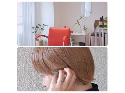パラダイム(PARADIGM)の写真