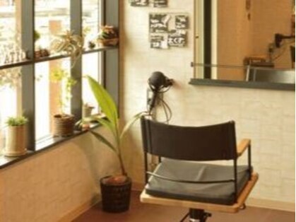 ジタ(gita)の写真