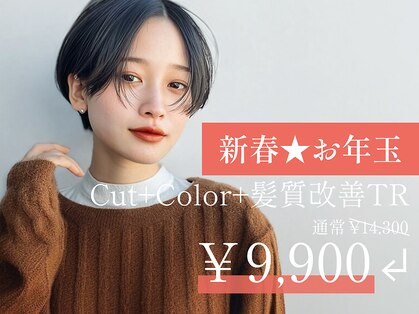 ディスコネクト(DISCO-N-NECT)の写真