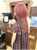 チェリーレッド×ウルフレイヤー【横須賀中央 Really】