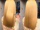 ヘイロー 表参道店(HALO)の写真/【表参道駅4分/髪質改善トリートメント専門店】SNSでよく見るあの艶々美髪が手に入る…♪
