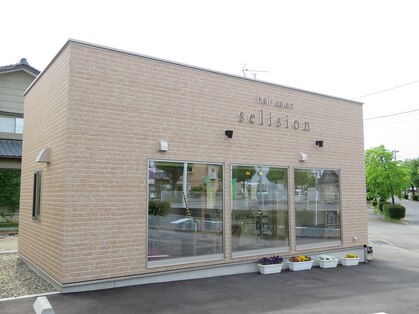 セリシオン(selision)の写真