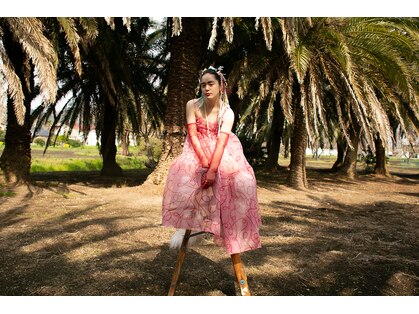 パレス(PAALS)の写真