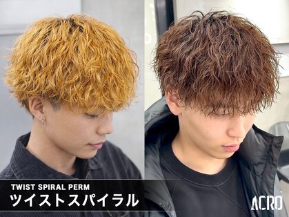 アクロ(ACRO)の写真