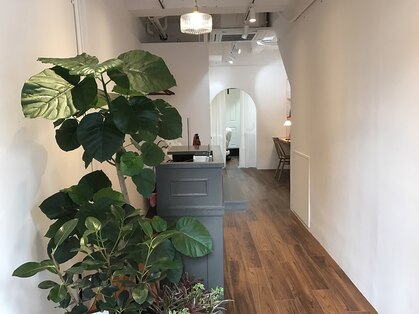 ココ スムス(coco sumusu)の写真