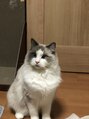 メラク(Merak)&nbsp;家に猫がいます。猫あるある話しましょう！