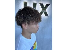 リックス(LIX)