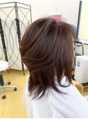 セミレイヤー