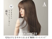 【髪質改善 トリートメント 2】カット+酸熱トリートメント　 (スリムバランサー)　￥13000