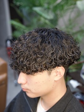 スキルメイト 天神(SKILL MATE) 波巻きプードル