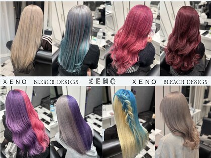ゼノ(Xeno)の写真