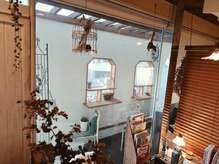 フィラート(filato)の雰囲気（インナーカラー・ハイライトなどもご相談ください☆☆）