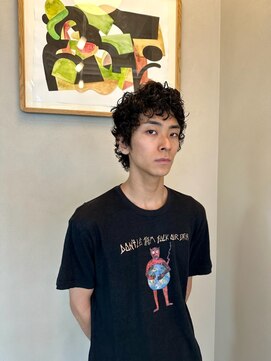 ディドゥダ(di doo dah) men's curly short
