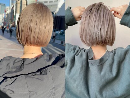 ソソ(soso)の写真