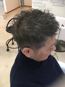 ヘアーリゼル(Hair Rizel) シルバーグレイ