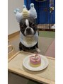 スリール 熊本(suri-ru) 愛犬のにこ丸君です！！