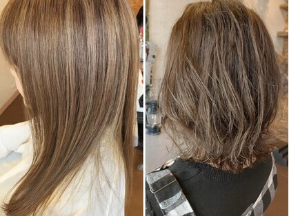 ジタ(gita)の写真