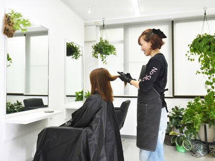 テンカラーズ ヘア(10COLORS)の写真