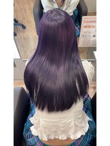 ジエクト ヴィシア(The Ect VIXIA) パープル/髪質改善/ブルーパープル/パープルブルー