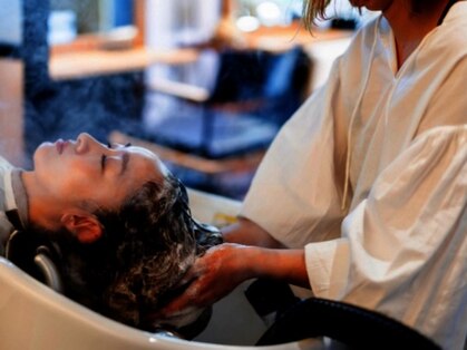 ステラー(Stellar)の写真