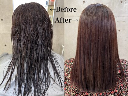 イエロー(YELLOW)の写真