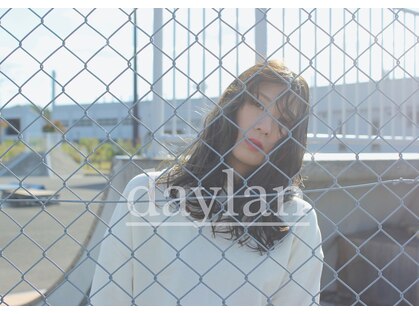 ディラン(daylan)の写真