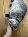ルッカ(Lucca)&nbsp;ネコちゃん飼ってます。ネコLoveです。