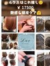 【ルクスはこれ推し】カット+全体染め+デザインカラー＋ヘッドスパ￥17500