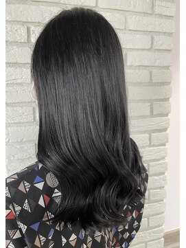 リーオオサカ(Lee Osaka) 【暗髪 ＆ 黒髪】★極潤★ the BLACK/新出奈津樹