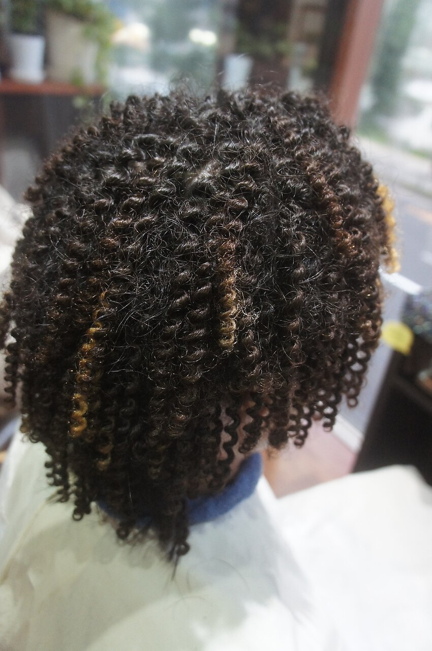 ハード針金スパイラルパーマ：L204669964｜ヘアーエゴブラック