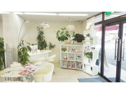 ホワイトハウス(whitehouse)の写真
