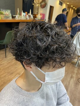 エルメ バイ アンフィー(Elme by anphi) 【Elme 野呂】プードルパーマ