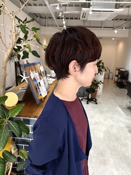 カイ(kai) ショート