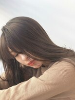 シオン 天神大名(sion) イルミナカラー