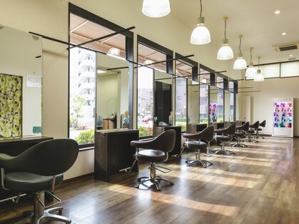 デューカ(DUCA)の写真