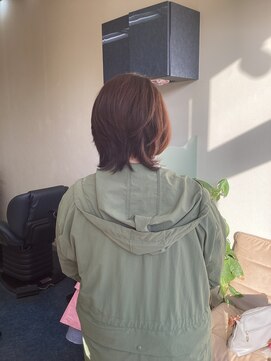 ジッピー(Zippy) 大人カット