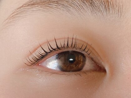 ステラー(Stellar)の写真