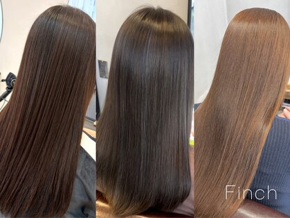 フィンチ(Finch)の写真