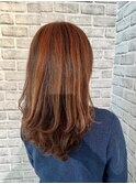セクションカラー