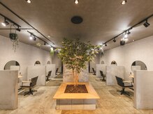 メゾンウィット(Maison Wit)の雰囲気（店内中央にはグリーンがあり、癒しの空間を演出♪）